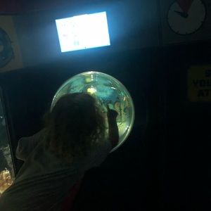 Meet your Posher, Alina